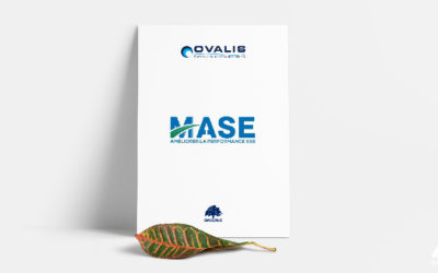 Renouvellement de la certification MASE pour une durée de 4 ans