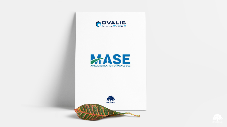 certification mase ovalis 