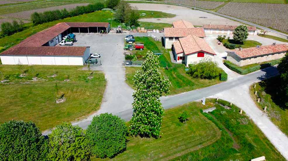 Ovalis gironde propose des prestations aux professionnels du secteur des vignobles